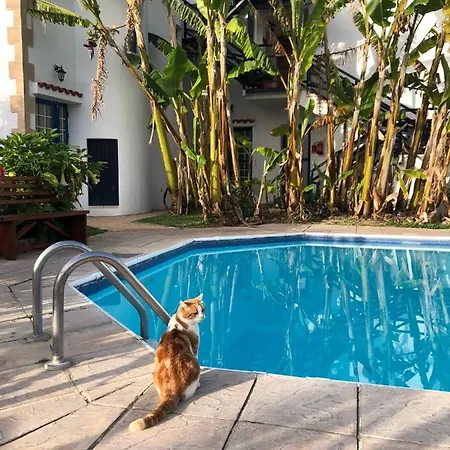 Aparthotel Bay View