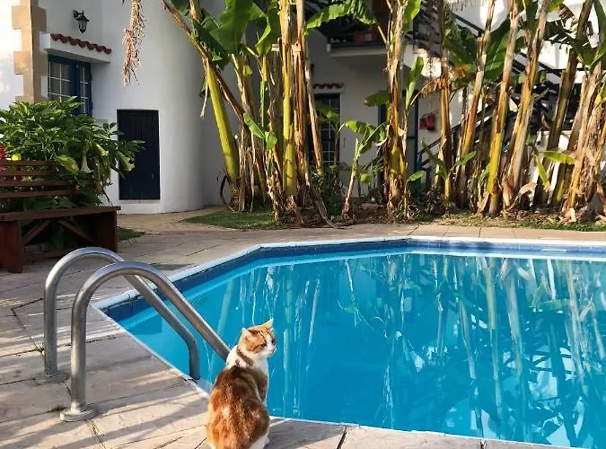 公寓式酒店 Bay View