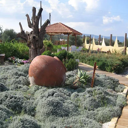 Bay View 3* Polis